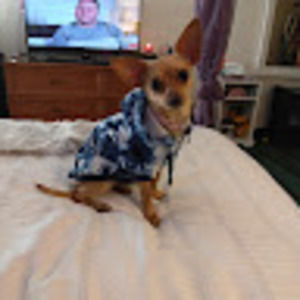 Meet your Posher, Victoria